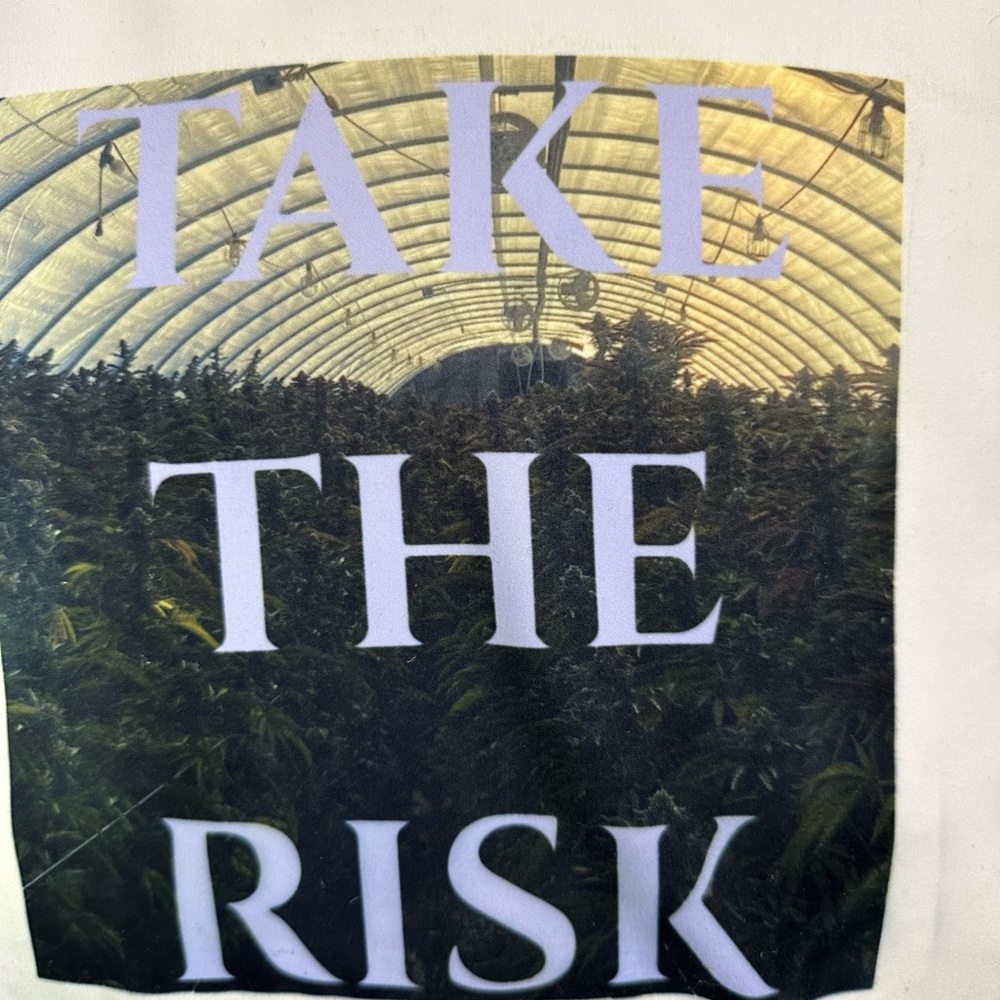 Take the Risk Pillow